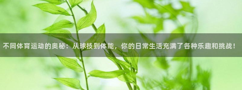捷报比分足球即时比分安卓ruo：不同体育运动的奥秘：从球技到体能，你的日常生活充满了各种乐趣和挑战！