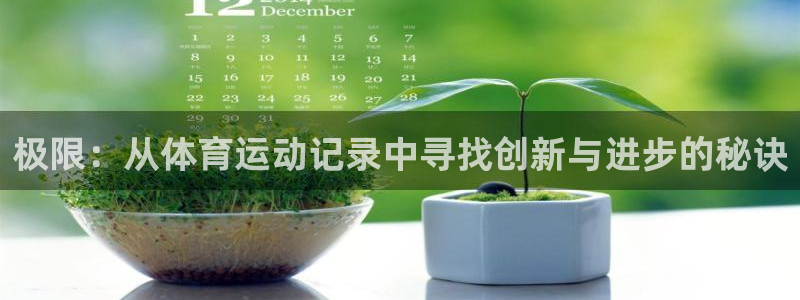 捷报频传：极限：从体育运动记录中寻找创新与进步的秘诀