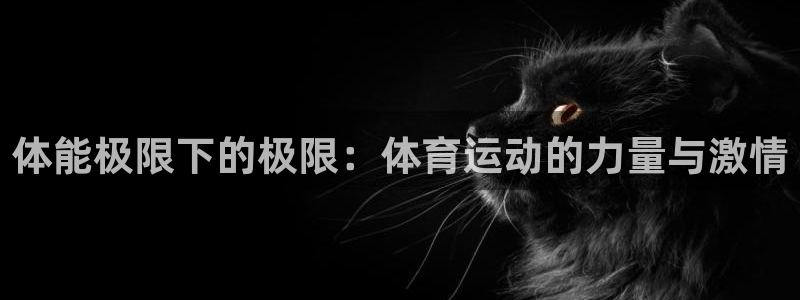 捷报体育篮球：体能极限下的极限：体育运动的力量与激情