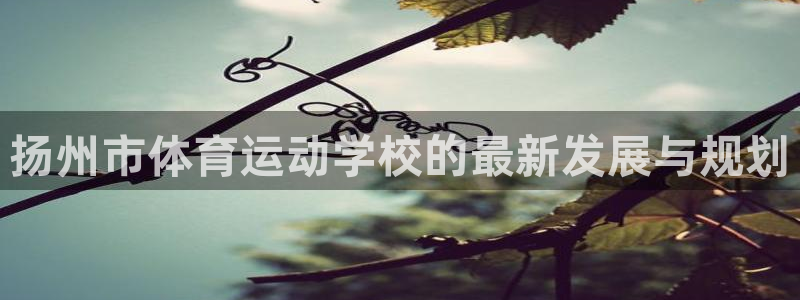 捷报归来：扬州市体育运动学校的最新发展与规划
