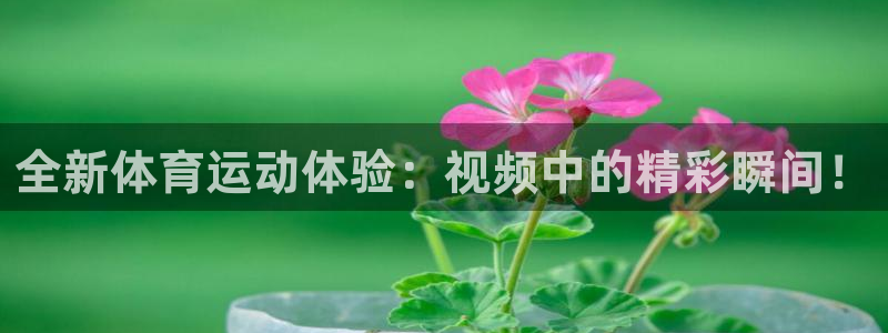 捷报频传是什么意思：全新体育运动体验：视频中的精彩瞬间！